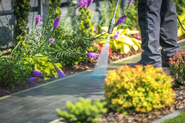 Best Winterizing Services  in Fair Haven, NY